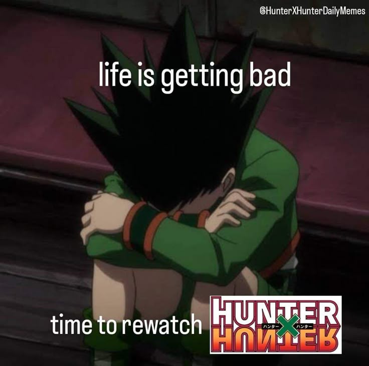 Hunter x Hunter (@hxhvizuals) on Twitter photo 