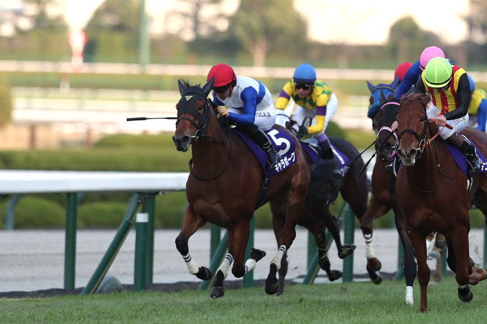 スカーレット (@scarletdaiwa02) / Posts / X