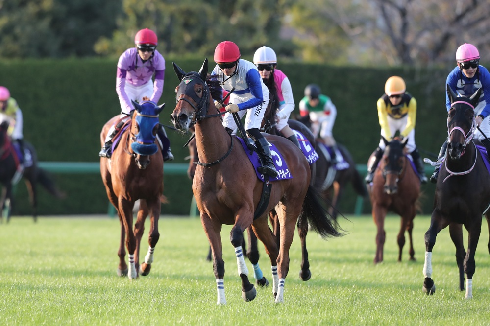 ディノ (@dino1019) / Posts / X