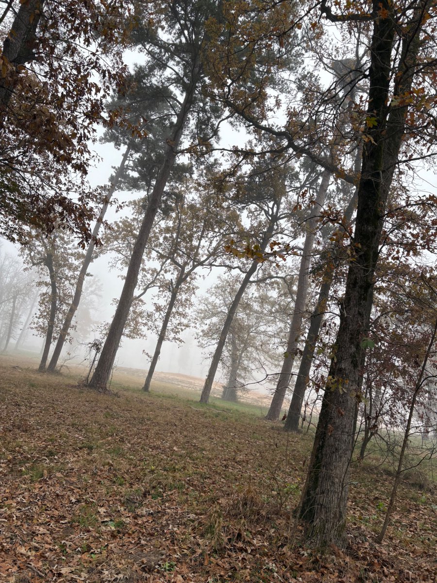 rrevng's tweet image. Can’t get any better