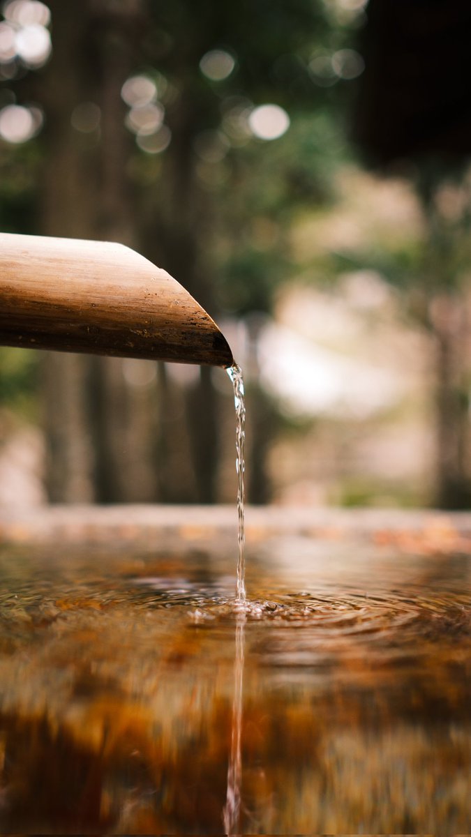 Taskuku's tweet image. #Japan #kyoto #autumnfall colors were unreal.