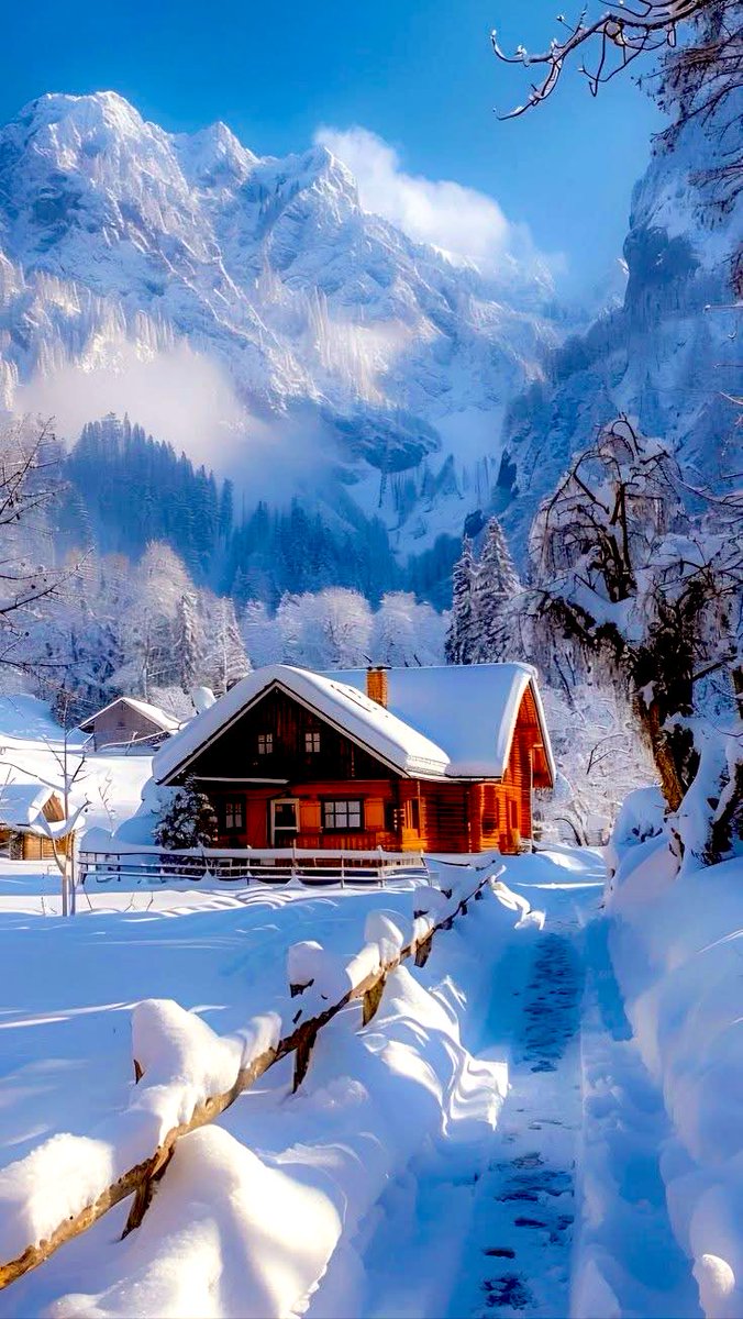 AGMRedMylene's tweet photo. Good morning ❄❄❄ https://t.co/vgO6CxgIgT
