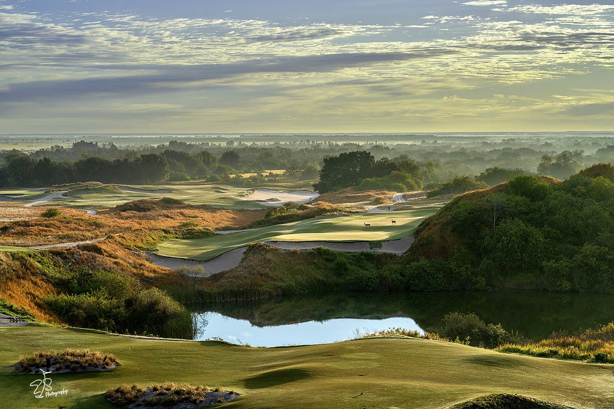 Evan Schiller tweet media