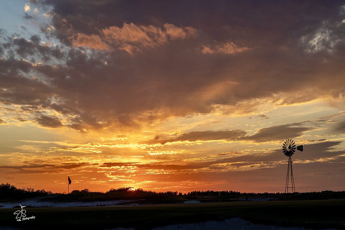 Evan Schiller tweet media