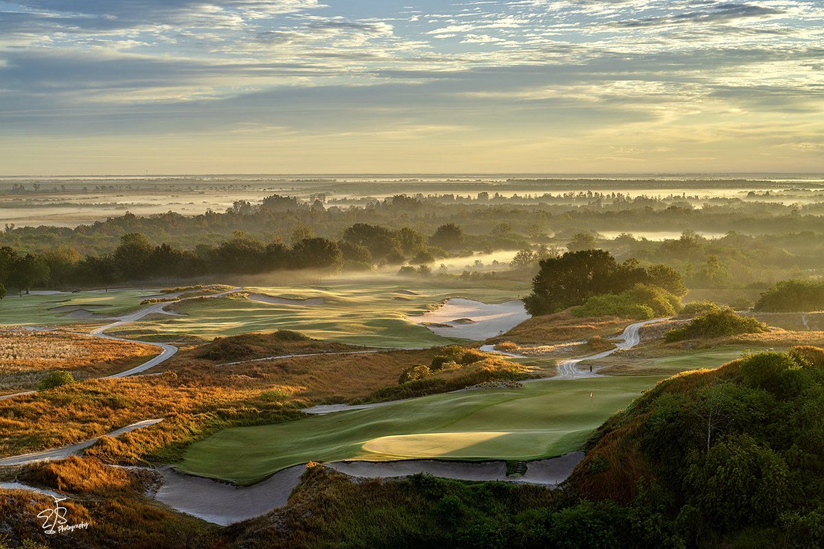 Evan Schiller tweet media