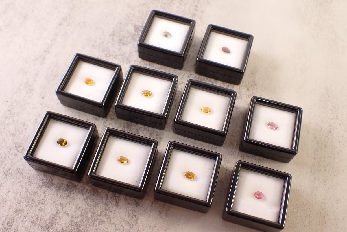 どんぐりころころ・w・＠LINEスタンプ販売中 (@dongurikorokron