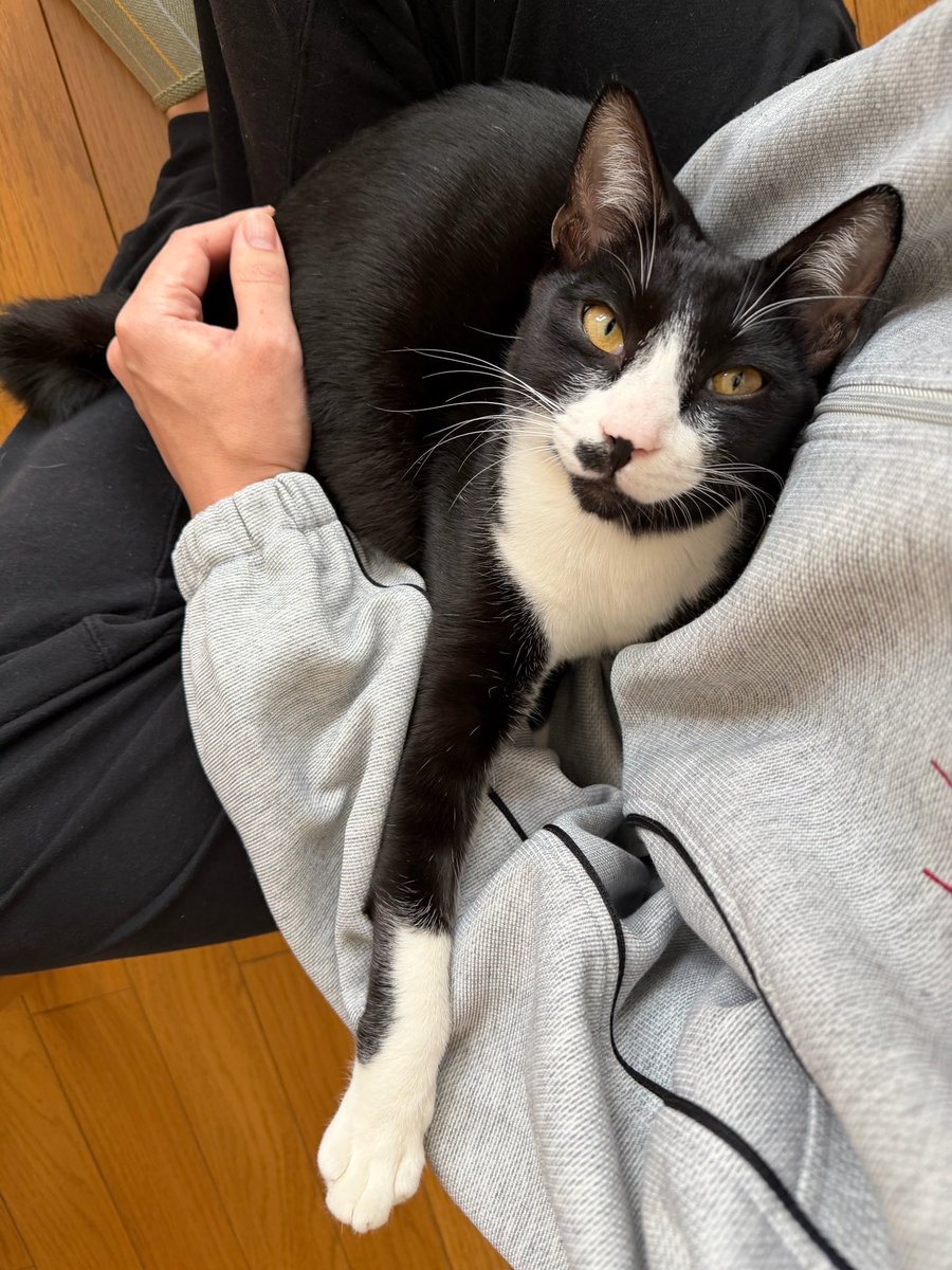 よっしー様❣️専用ページ よっしー@BASHtv (@yossi_rock) on X