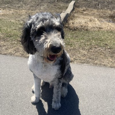 chedda33's tweet image. #NewProfilePic