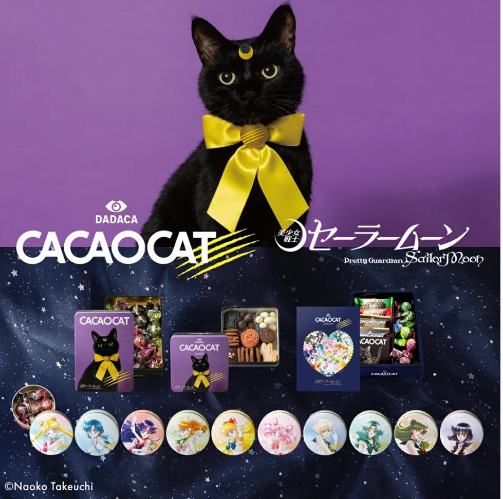 次の発送は10月1日以降になります！様♡専用 イチゴ大福 (@kitty_yu77) / Posts / X