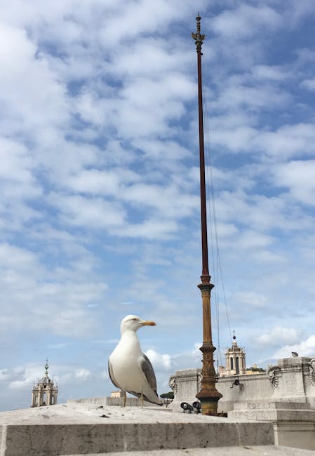 الحياة تصبح أجمل عندما الروح يزرع الثقة داخل القلوب. Phylis Freels