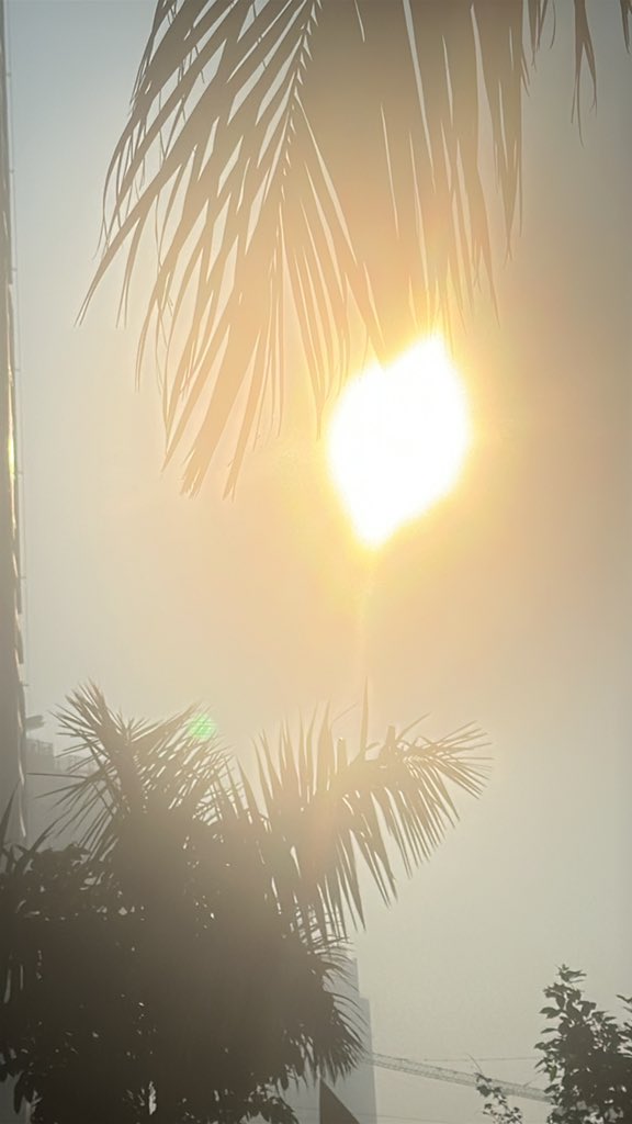 Srinivas tweet media