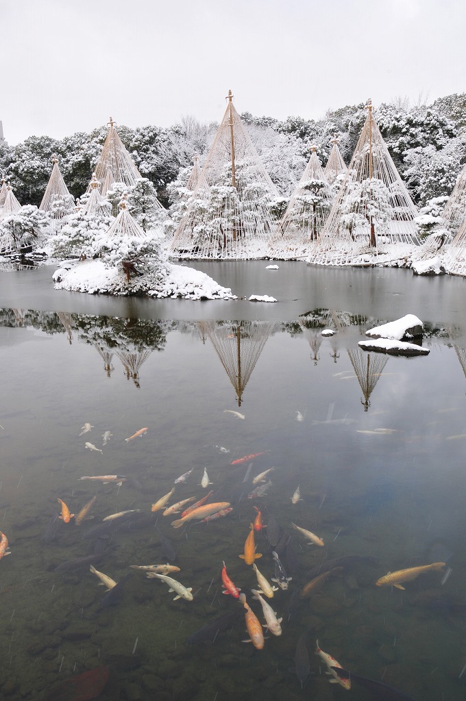 ヨッシー (@AOGSDkw5Qmr1X51) / Posts / X