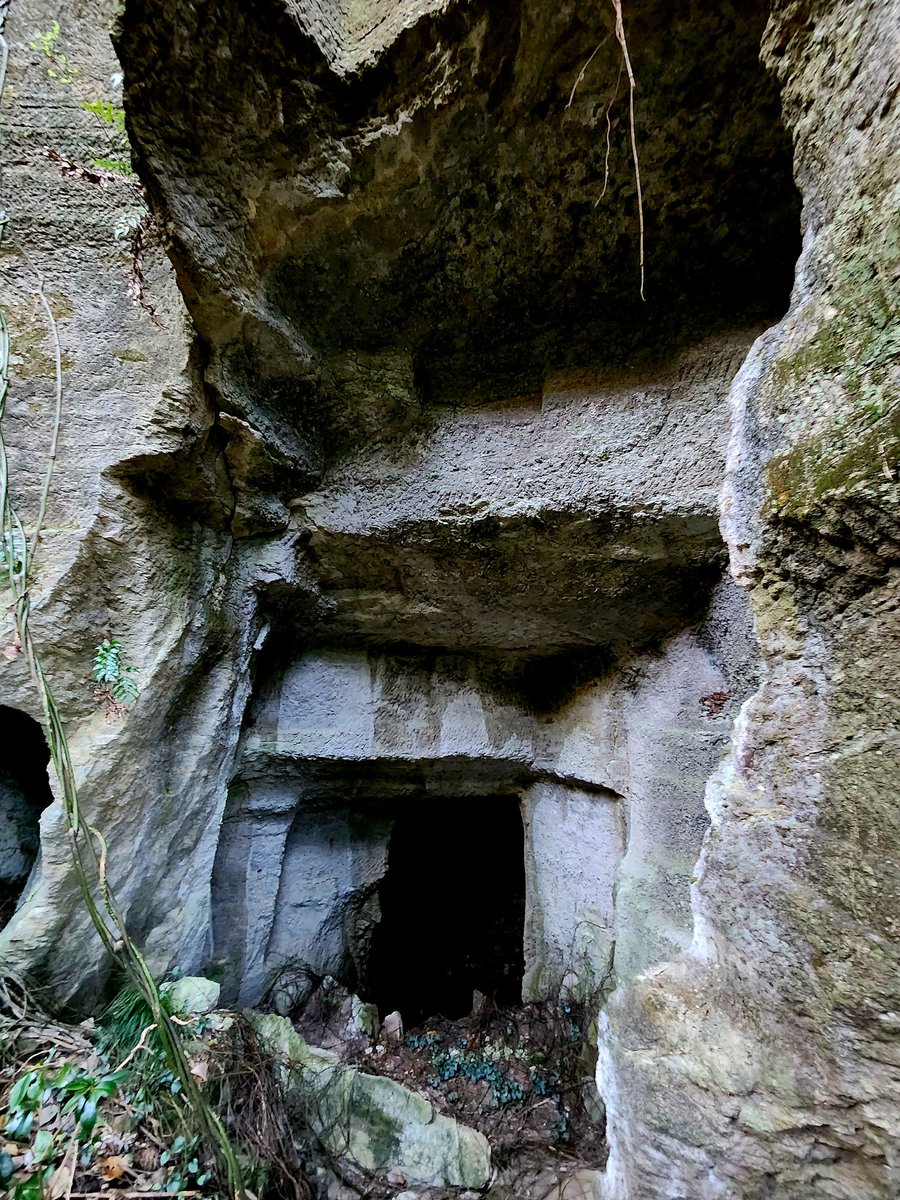 いもむしc(.(.(.(.(@･ω･) tweet media