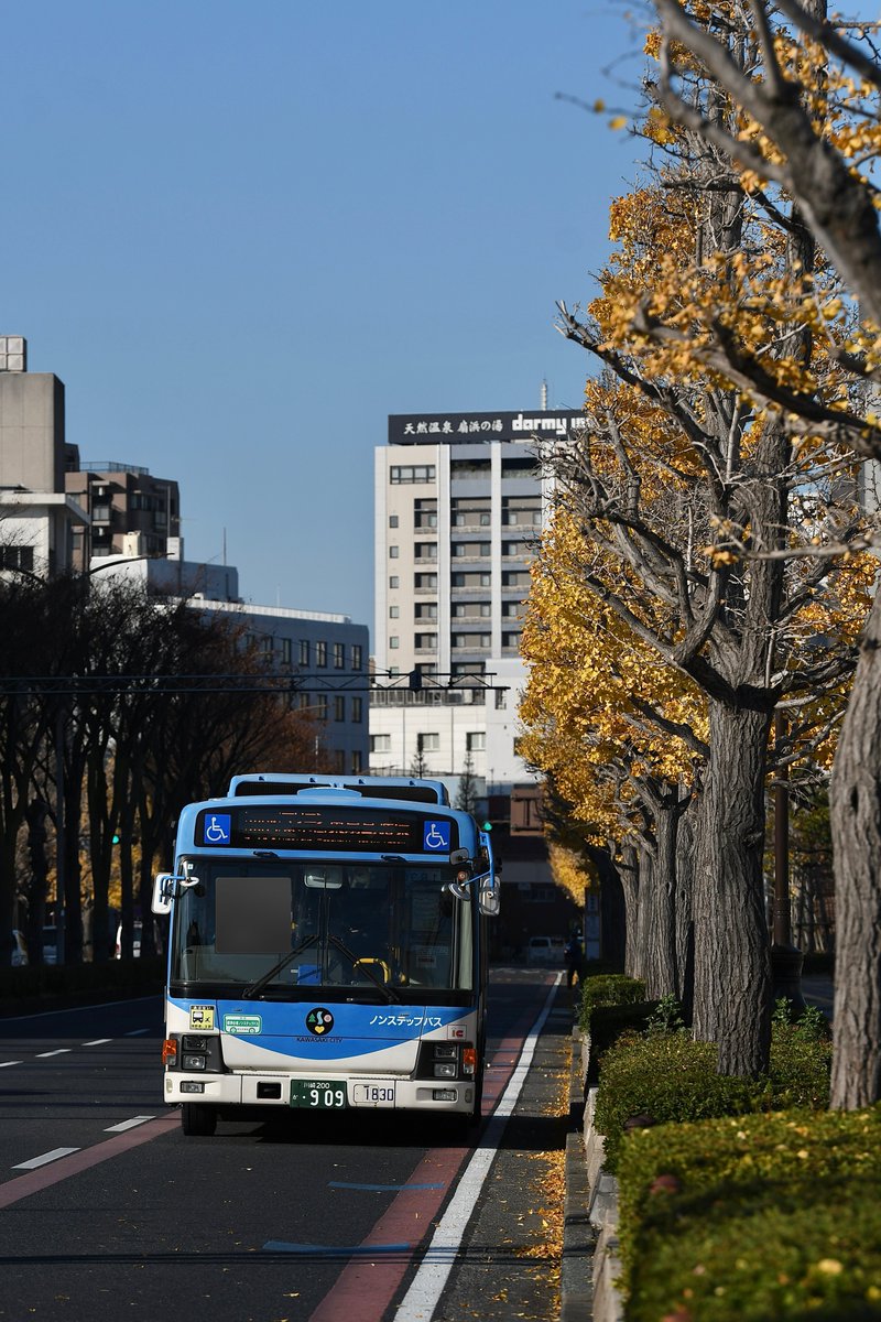 気候や天気は完全に冬になりましたがまだ僅かに秋の香りは残っています