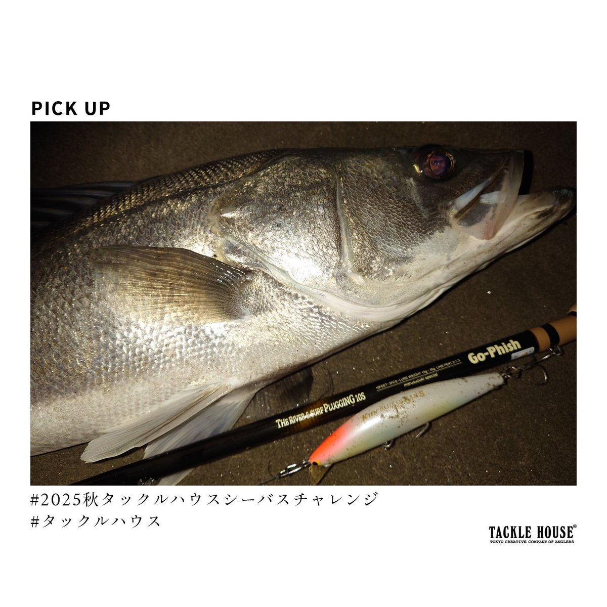 タックルハウス (@tacklehouse) / Posts / X