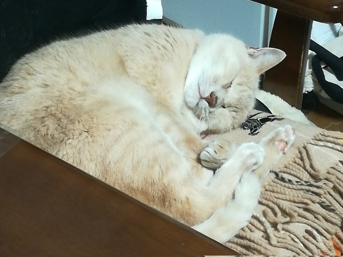 中森 中森明菜 難破船 L-1755 | レコード買取