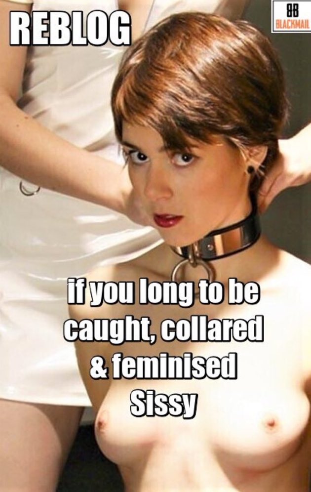 Goddessbb4's tweet photo. Well #Sissy? https://t.co/nK4MzaYuSm