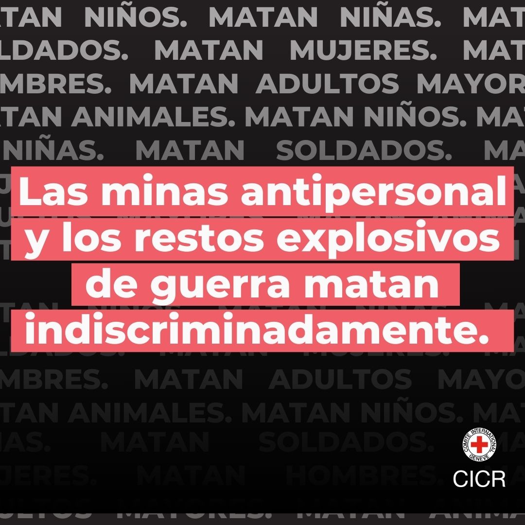 CICR_es's tweet photo. Las minas antipersonal matan y mutilan indiscriminadamente.

⚠️ Solo hay una manera de estar a salvo: deshacerse de ellas.

👉 Todos los Estados deben respetar la Convención sobre la Prohibición de las Minas Antipersonal https://t.co/eReqUZrAb3