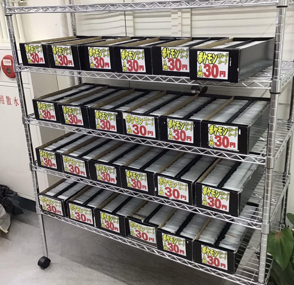 💰💰💰お宝探し💰💰💰💰 #お宝カード 隠しました〜😊❤️ お時間ご