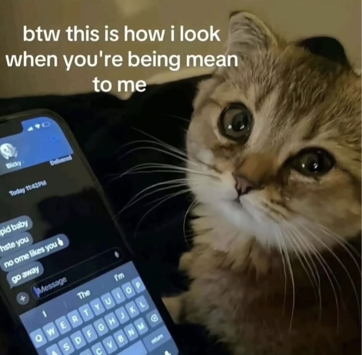 raccoon aesthetic. (@raccoonesthetic) on Twitter photo 