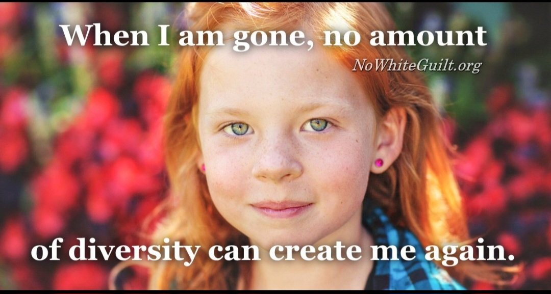 GoFreeCrusader's tweet image. It's also not "replacement," it's White-erasure