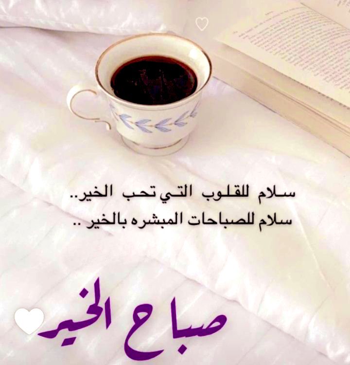 نوفا الحربي: 🇸🇦 tweet media