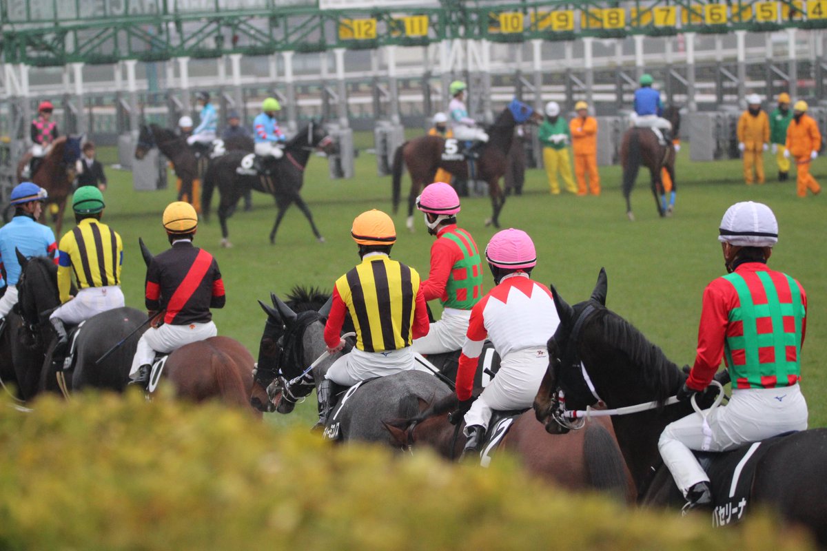 ハルちゃんちのママ (@zbsJUMqxrLzXEM8) / Posts / X