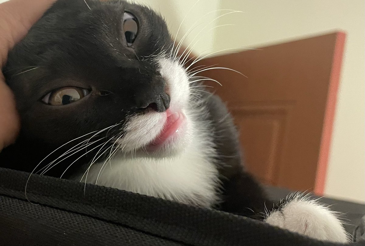 namej's tweet image. 옙