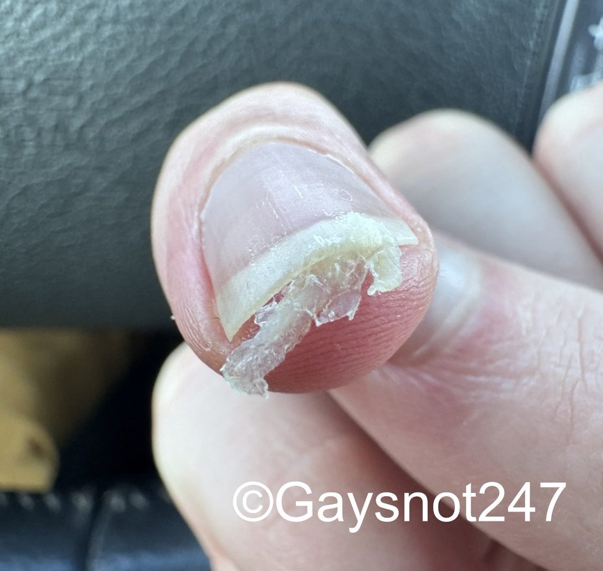 gaysnot247's tweet photo. Chew on it with me. 😉 #boogers #gay #gaysnot #snot #snotlover #gaysnotlover #nosefetish #nose #fingerfood #snottynose #popelesser #popel https://t.co/H0zXX9hFgc