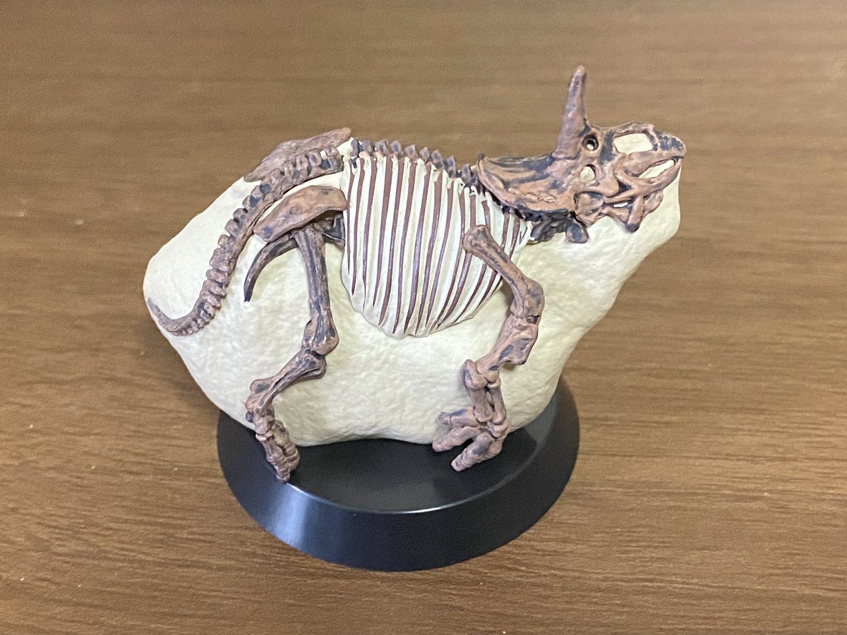 Asa (@Asa_dinoclub414) / Posts / X