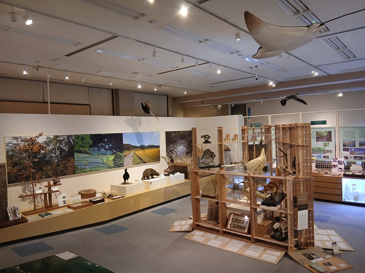 isshin_tk's tweet photo. 広島大学総合博物館
東広島キャンパス内にあり、広大生以外も無料で見学可能

隕石や化石、標本とありますが、
佐藤大規さん復元案の安土城天主や
伝・広島城の懸魚、
厳島神社模型（撮影禁止）などの
展示もあります。

広くはないかもしれませんが、なかなか面白いです https://t.co/fN5k5SjqUD