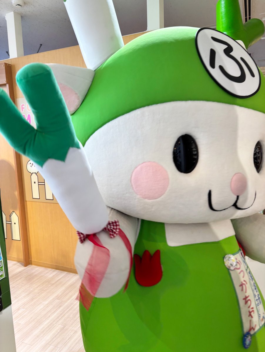 💚ふっかちゃん💚 (2/3)