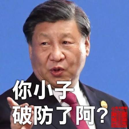 yin tweet media