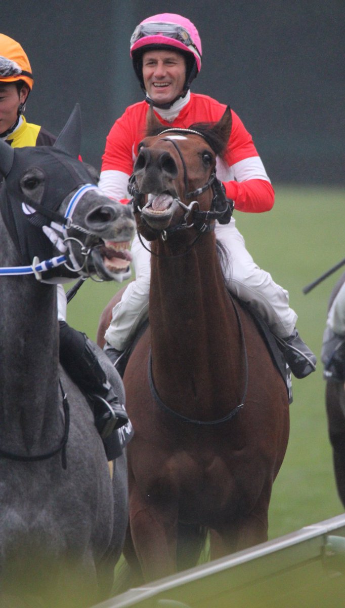 ハルちゃんちのママ (@zbsJUMqxrLzXEM8) / Posts / X