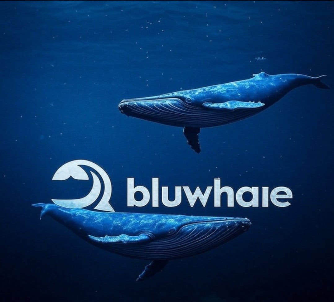 V1CTORHOODRICH's tweet image. The first time I saw my entire digital footprint inside BluwhaleAI, it felt like everything finally clicked. Wallets, chains, actions all the pieces that used to feel scattered were suddenly connected as one system.

Seeing the full picture changed how I think about Web3. When…