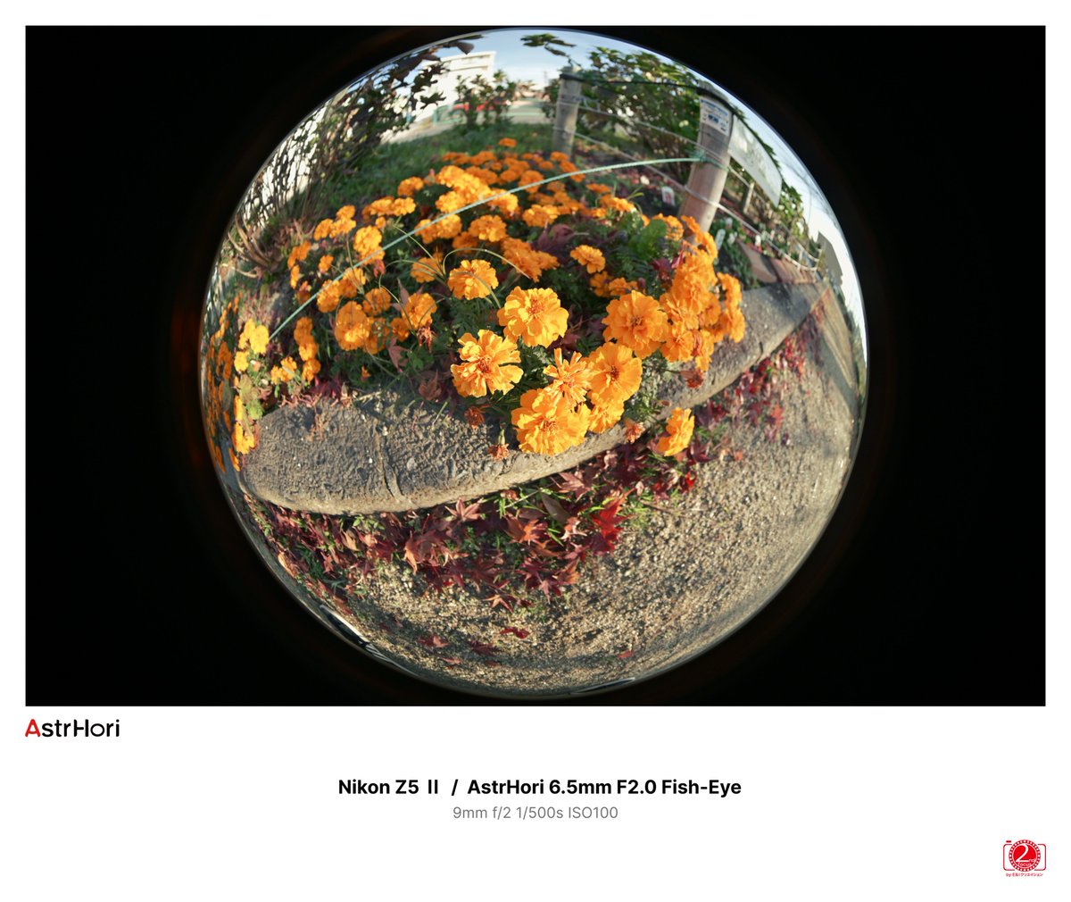 2ndfocus by E&I Creation (@2nd_focus) / Posts / X