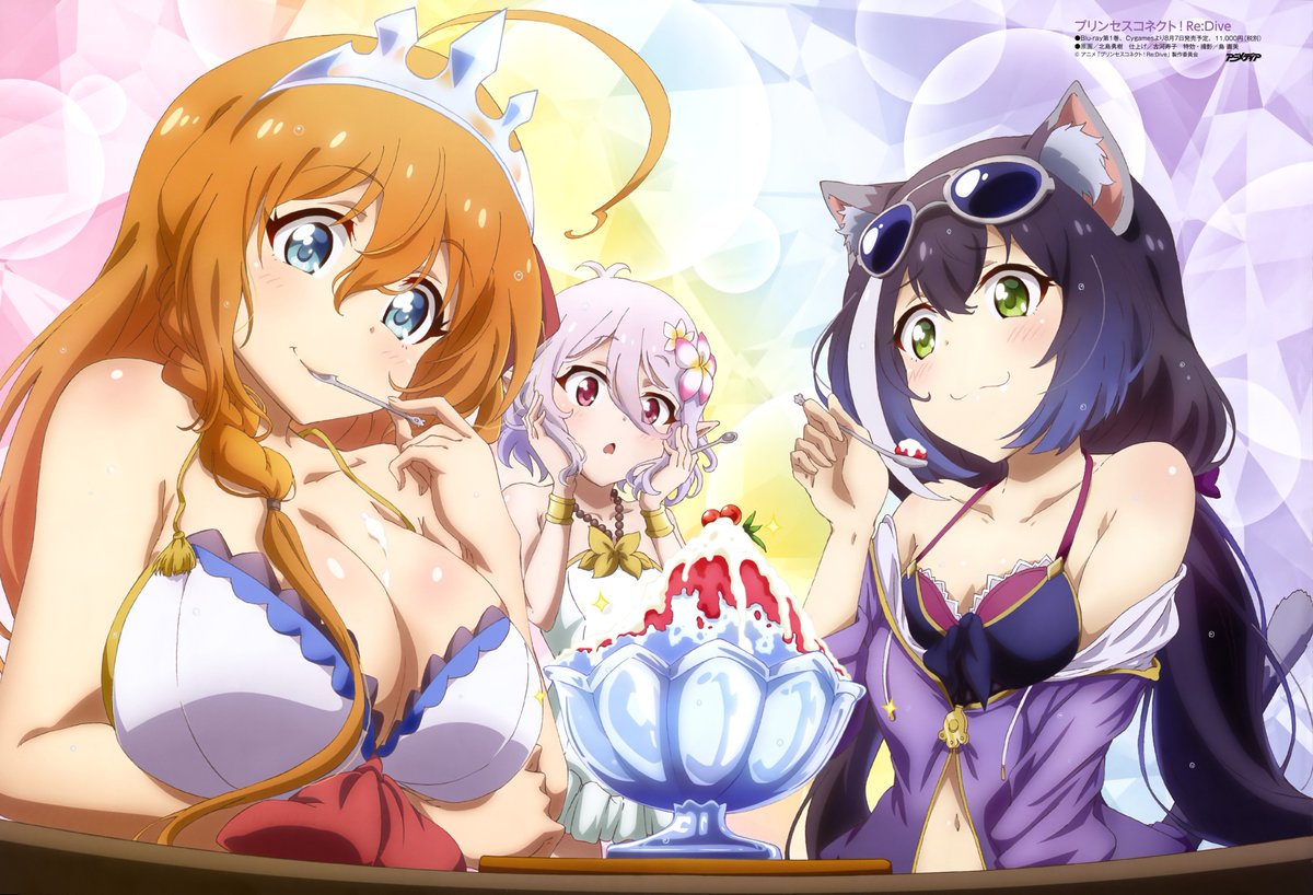 Princess Connect! Re:Dive (プリンセスコネクト！Re:Dive)
From Animedia Magazine [2020-08]