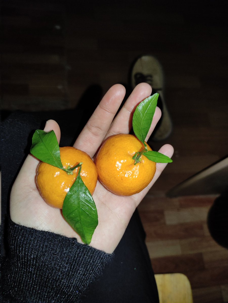 яхши душанба