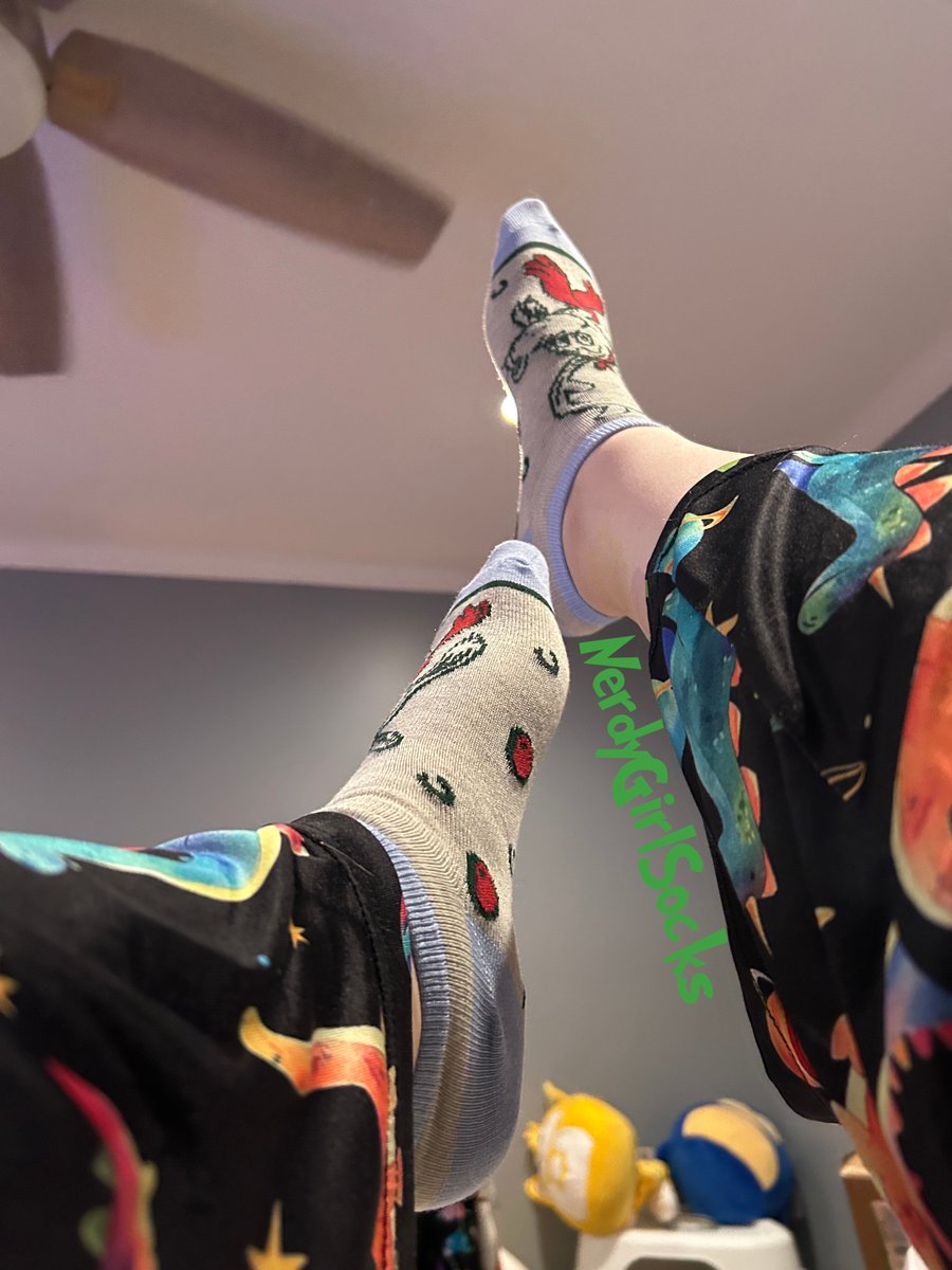 NerdyGirlSocks's tweet photo. #Sockmas Day 14! I wanted to try some new things with this set so I hope you guys like it!😅
🎄1/3🎄
#Grinchmas #Christmas #ChristmasTime #Christmas2025 #holidayseason #December #giantess #sockjob #soles #feet #socks #festivesocks #cutesocks https://t.co/zKeFNgs78N