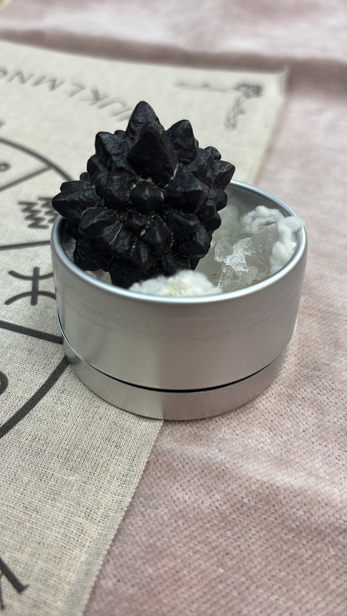 soranomaria1 私も連れてきました！予言石🪨