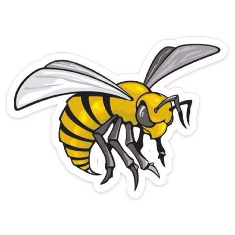 CoachP_Softball's tweet photo. It’s a GREAT day to be a Hornet! https://t.co/CZLOC29xZ8