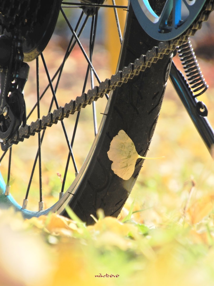 mikoto (@mamakun_6v6) / Posts / X