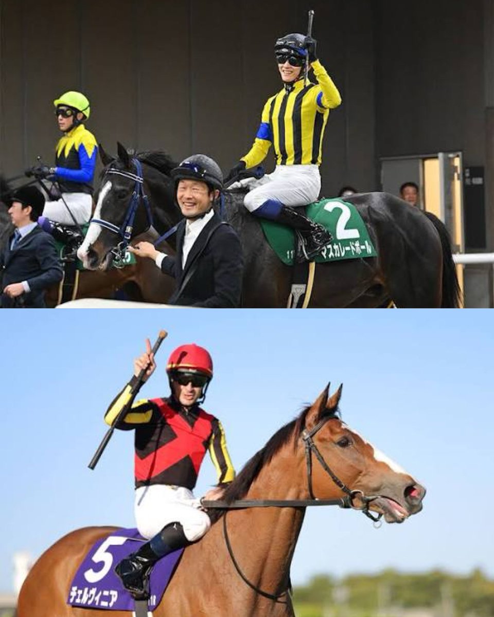 というか、椎名社長の勝負服が社台レースホースで椎名社長の倅の勝負服