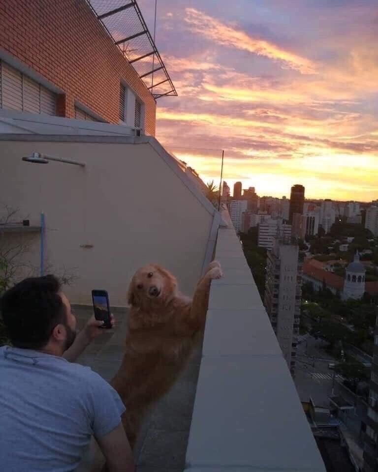 twaniimals's tweet image. 