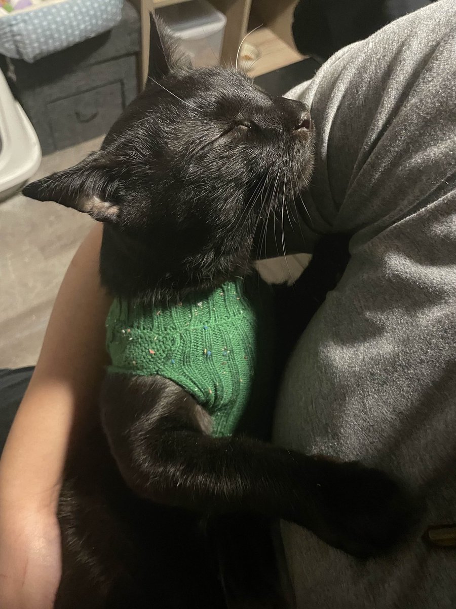 Averiahh's tweet photo. I held onto my sweet boy for the last time today. No words can describe what im feeling, or how ill cope with him being gone. He was my rock throughout my life, how I wish he could've been with me for a few more years— but he was ready and I owe him peace from his suffering https://t.co/q00x5DhldA