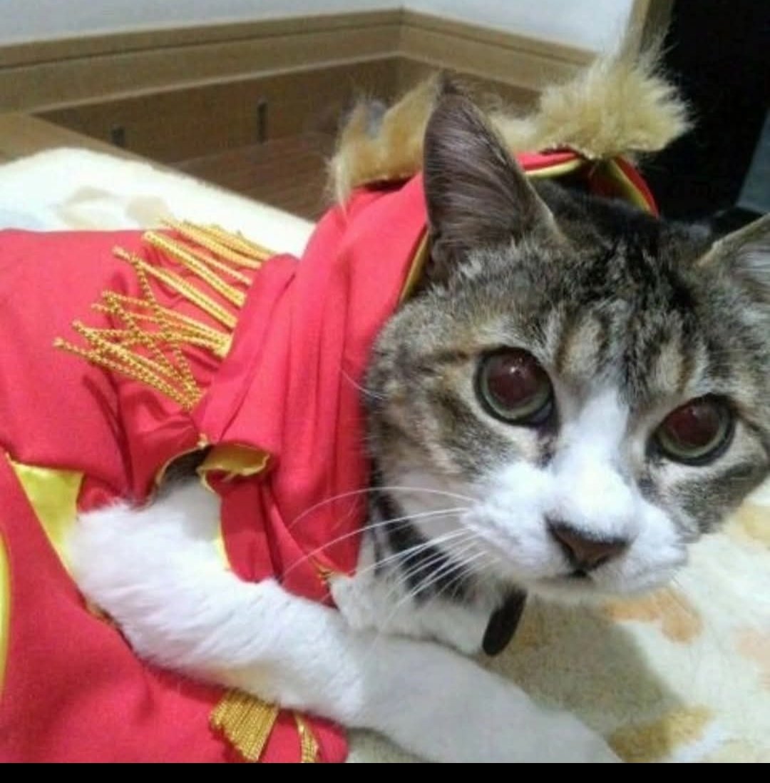 初代様と二代目によるガブリンチョ