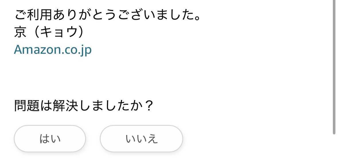 Amazonで頼んでたものが届かなくてカスタマーサポートに連絡してて