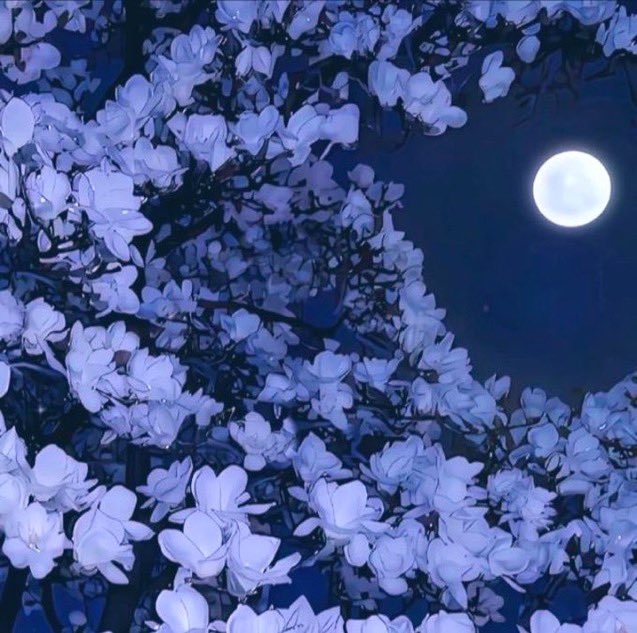 celestiellie's tweet image. #promotwt ₊˚⊹ ʚɞ

                  ︶︶⠀⠀୨୧⠀⠀︶︶

                Elli ᢉ𐭩 She/Her
         23 ᢉ𐭩 Future Bina Main.ᐟ
          ♡ / ↺ to be oomfs IFB.ᐟ

                   ︶︶⠀⠀୨୧⠀⠀︶︶ 

            #LLtwt #COLUMBINA 
#genshintwt  #moothunt #gamingtwt