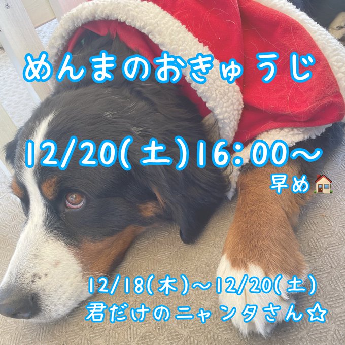 みけねこカフェ池袋店のツイート