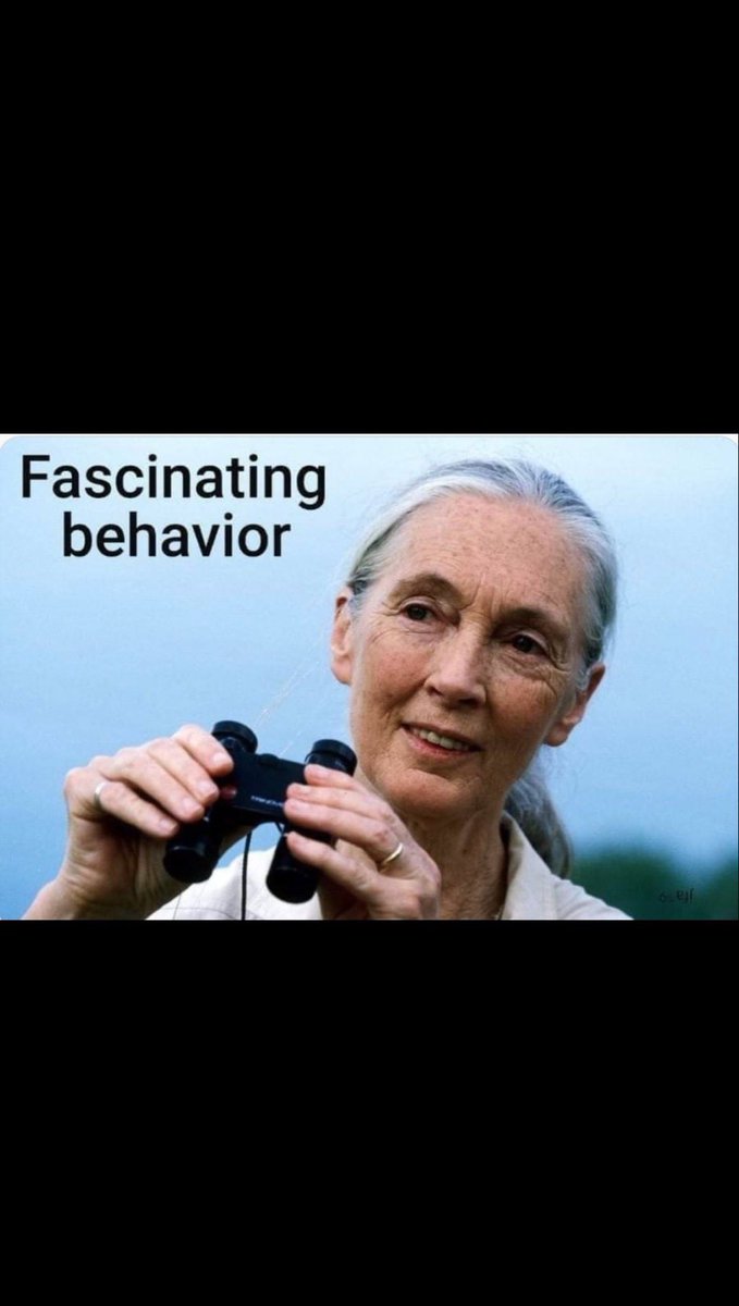 Eric Meller tweet media